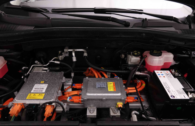 MG_MG_ZS_2653014_22.jpg