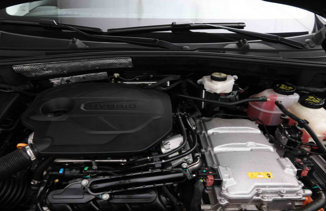 MG_MG_ZS_2653299_18.jpg