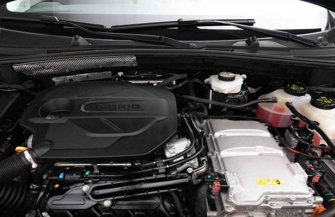 MG_MG_ZS_2653300_18.jpg
