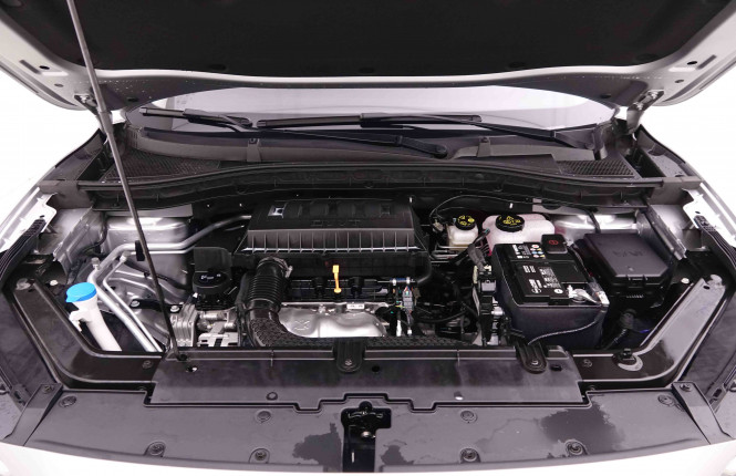 MG_MG_ZS_2654647_47.jpg MG_MG_ZS_2654647_47.jpg