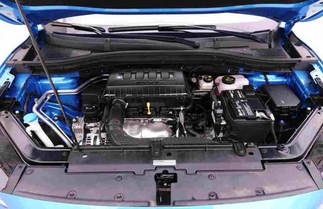 MG_MG_ZS_2654701_23.jpg MG_MG_ZS_2654701_23.jpg