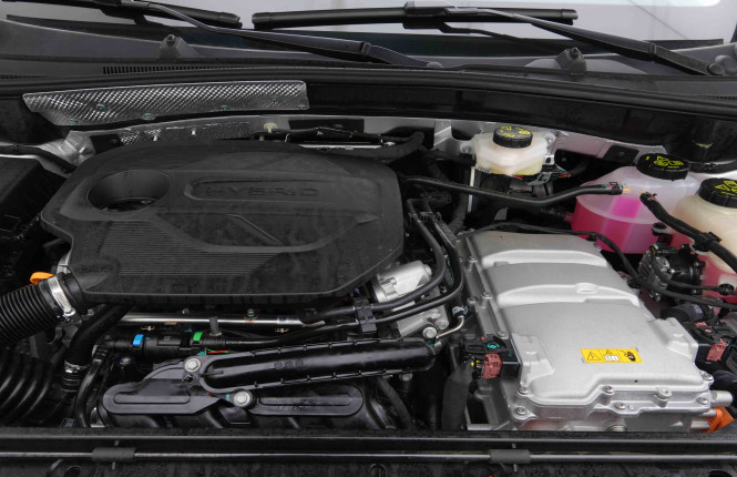 MG_MG_ZS_2654731_20.jpg MG_MG_ZS_2654731_20.jpg