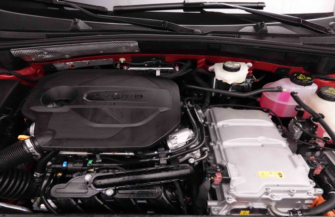MG_MG_ZS_2654733_21.jpg MG_MG_ZS_2654733_21.jpg