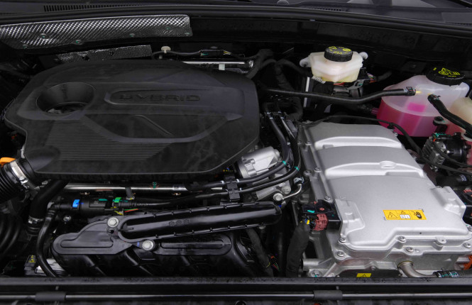 MG_MG_ZS_2654806_19.jpg MG_MG_ZS_2654806_19.jpg