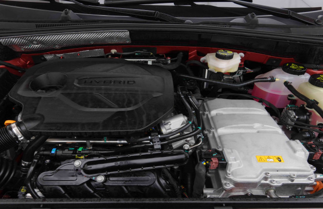 MG_MG_ZS_2654811_20.jpg MG_MG_ZS_2654811_20.jpg
