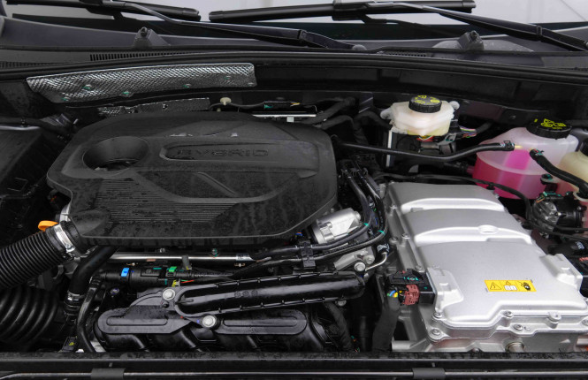 MG_MG_ZS_2654820_19.jpg MG_MG_ZS_2654820_19.jpg
