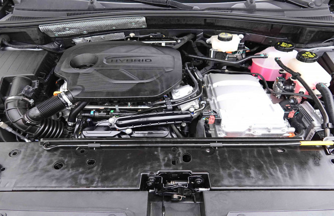 MG_MG_ZS_2654822_22.jpg MG_MG_ZS_2654822_22.jpg