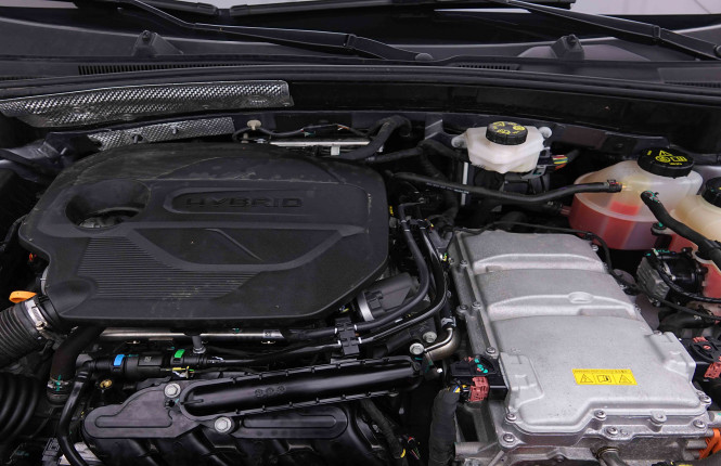 MG_MG_ZS_2655242_20.jpg