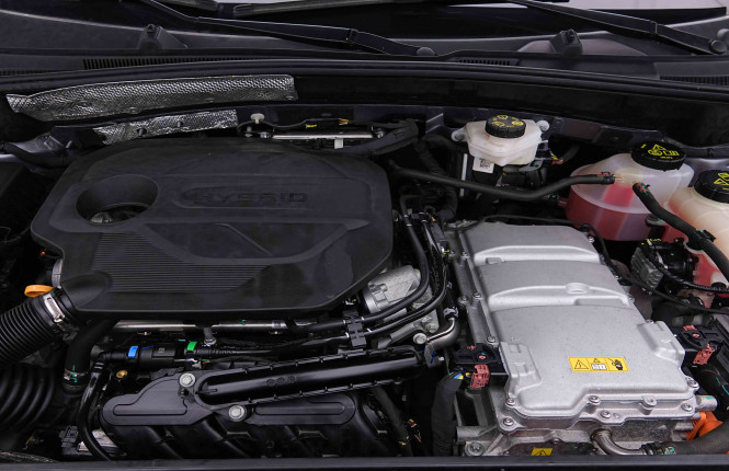 MG_MG_ZS_2655243_19.jpg