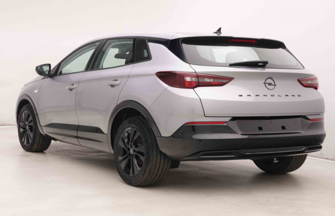 OPEL_OPEL_GRANDLAND_2549359_28.jpg