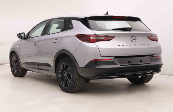 OPEL_OPEL_GRANDLAND_2549360_28.jpg