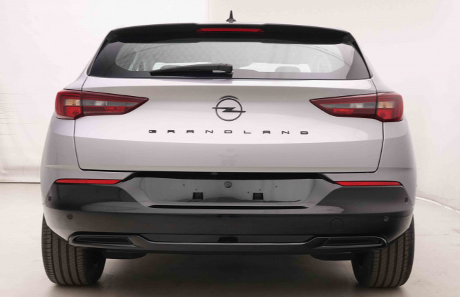 OPEL_OPEL_GRANDLAND_2549360_29.jpg