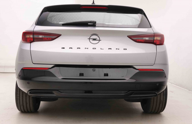 OPEL_OPEL_GRANDLAND_2549365_28.jpg