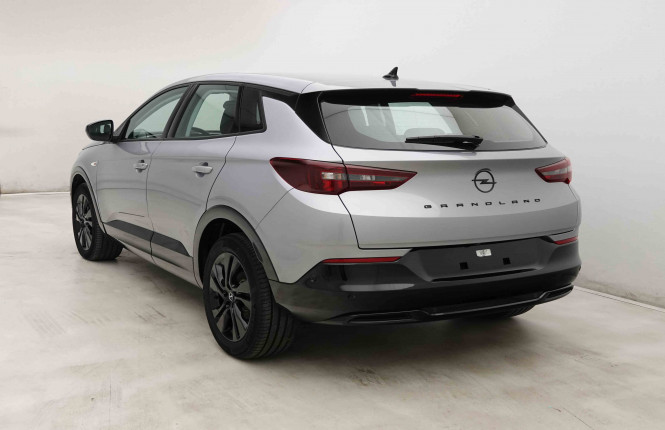 OPEL_OPEL_GRANDLAND_2653603_28.jpg