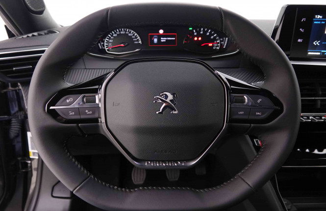 PEUGEOT_PEUGEOT_2008_2551419_8.jpg