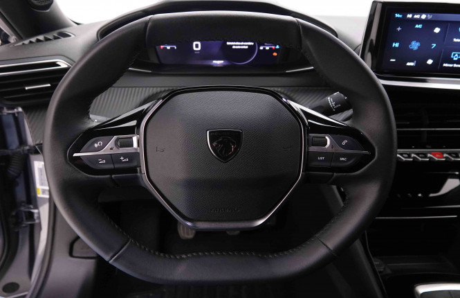 PEUGEOT_PEUGEOT_2008_2551462_8.jpg