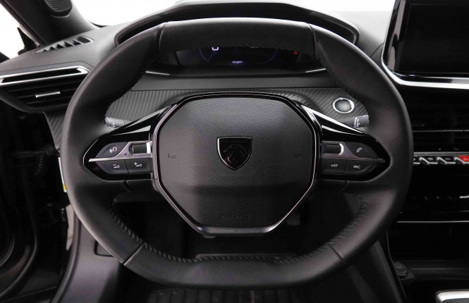 PEUGEOT_PEUGEOT_2008_2651905_8.jpg