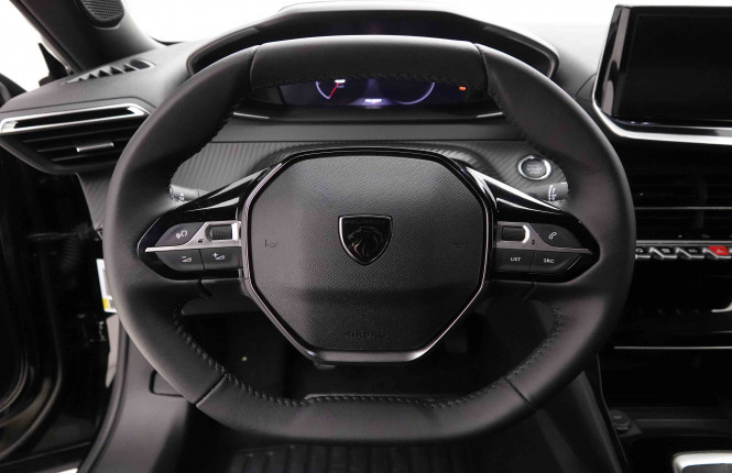 PEUGEOT_PEUGEOT_2008_2651911_8.jpg