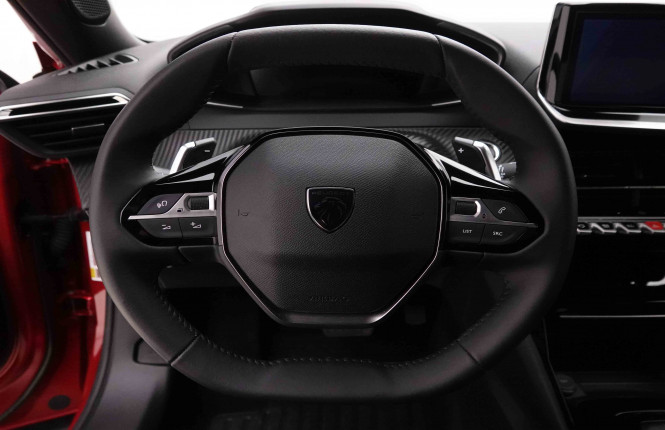 PEUGEOT_PEUGEOT_2008_2652072_8.jpg