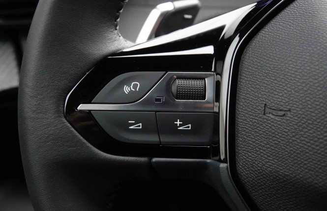PEUGEOT_PEUGEOT_2008_2652238_73.jpg