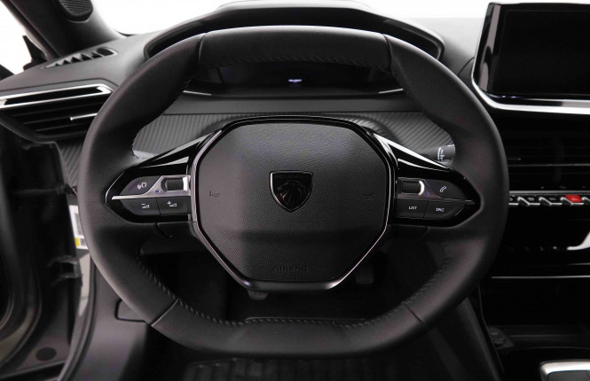PEUGEOT_PEUGEOT_2008_2652462_31.jpg