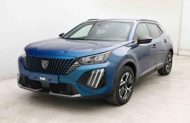 PEUGEOT_PEUGEOT_2008_2653335_25.jpg