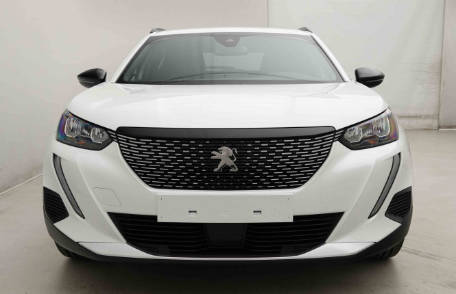 PEUGEOT_PEUGEOT_2008_2654342_25.jpg