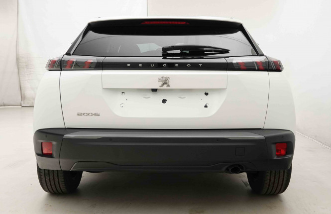 PEUGEOT_PEUGEOT_2008_2654342_28.jpg