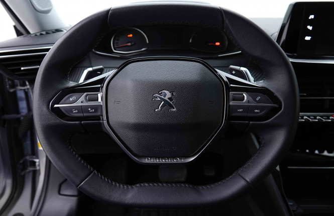 PEUGEOT_PEUGEOT_2008_2655200_8.jpg