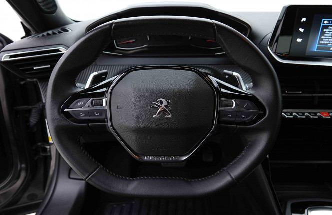 PEUGEOT_PEUGEOT_2008_2655345_8.jpg
