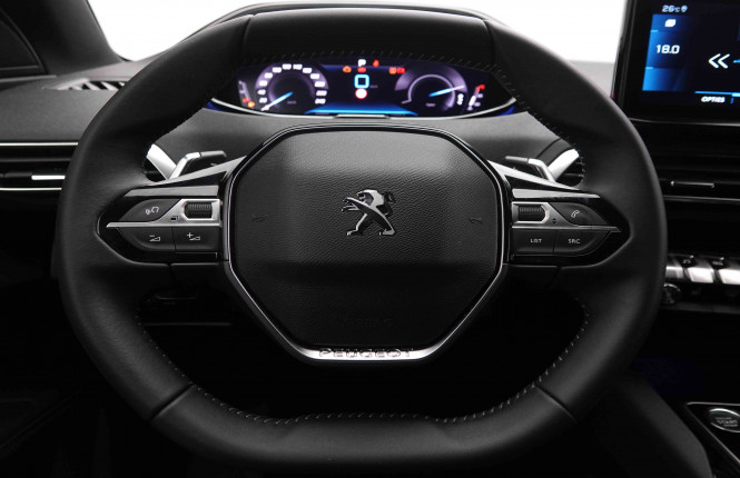 PEUGEOT_PEUGEOT_3008_2548905_8.jpg PEUGEOT_PEUGEOT_3008_2548905_8.jpg
