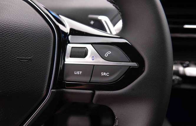 PEUGEOT_PEUGEOT_3008_2549032_17.jpg