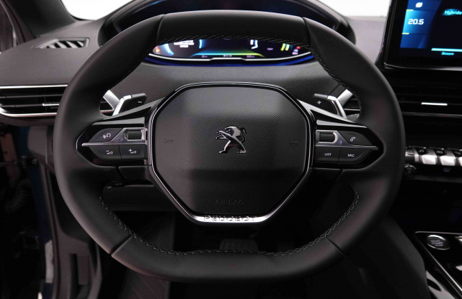 PEUGEOT_PEUGEOT_3008_2549032_8.jpg