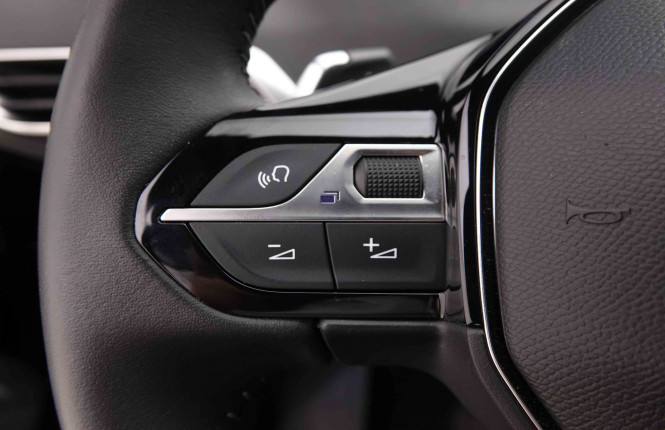 PEUGEOT_PEUGEOT_3008_2549103_19.jpg