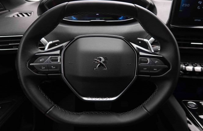 PEUGEOT_PEUGEOT_3008_2549460_8.jpg