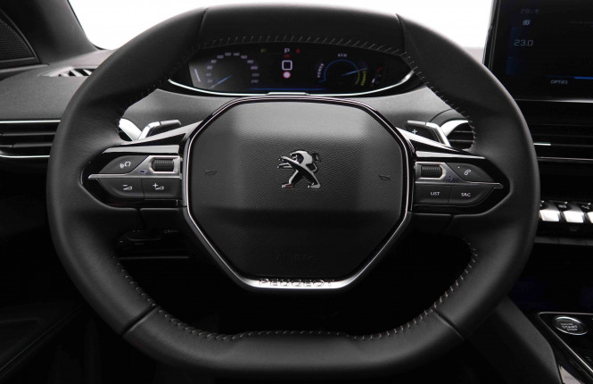 PEUGEOT_PEUGEOT_3008_2549524_9.jpg