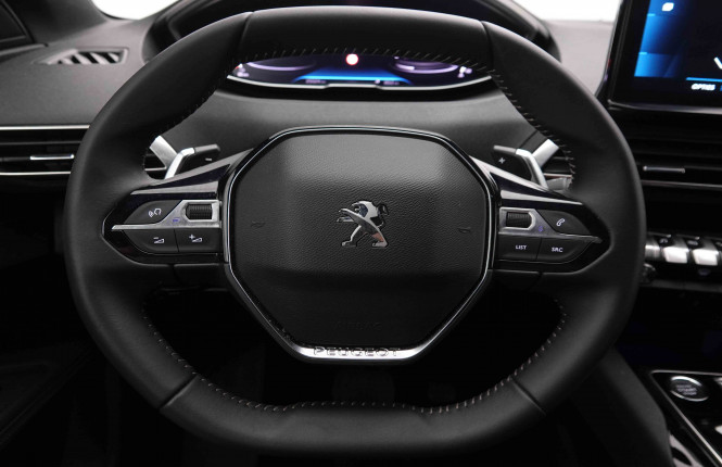 PEUGEOT_PEUGEOT_3008_2549527_9.jpg