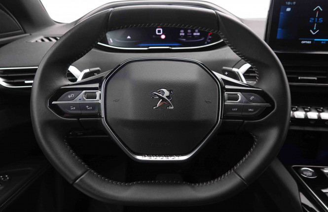 PEUGEOT_PEUGEOT_3008_2550021_8.jpg