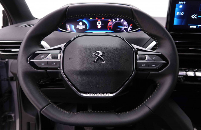 PEUGEOT_PEUGEOT_3008_2550334_8.jpg