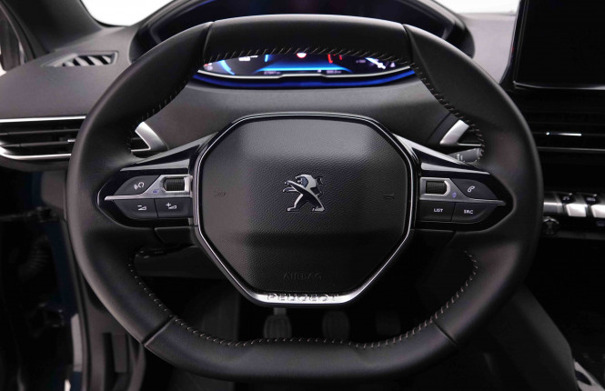 PEUGEOT_PEUGEOT_3008_2550340_8.jpg