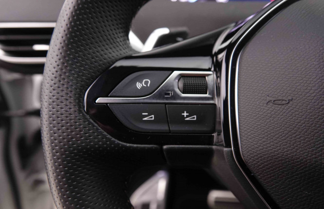 PEUGEOT_PEUGEOT_3008_2550594_20.jpg
