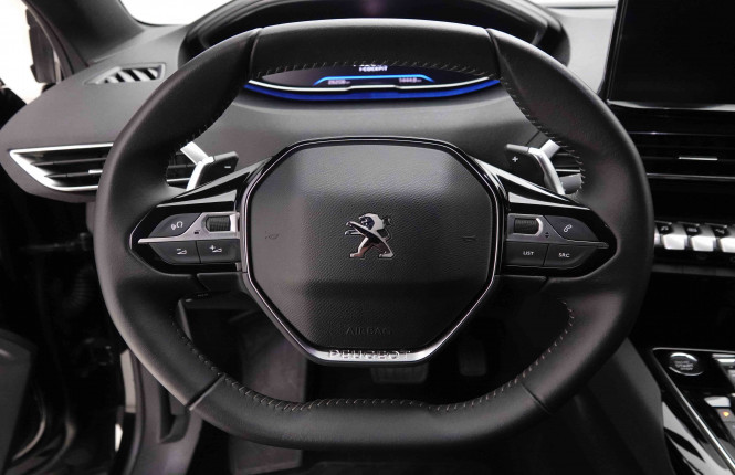PEUGEOT_PEUGEOT_3008_2551811_8.jpg