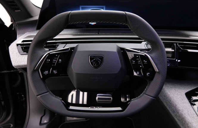 PEUGEOT_PEUGEOT_3008_2651952_9.jpg