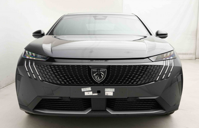 PEUGEOT_PEUGEOT_3008_2654008_26.jpg