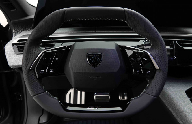 PEUGEOT_PEUGEOT_3008_2654008_9.jpg