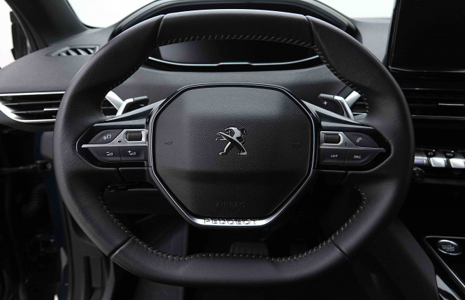 PEUGEOT_PEUGEOT_3008_2655042_8.jpg