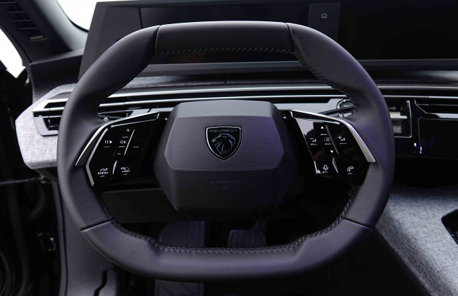 PEUGEOT_PEUGEOT_3008_2655266_8.jpg