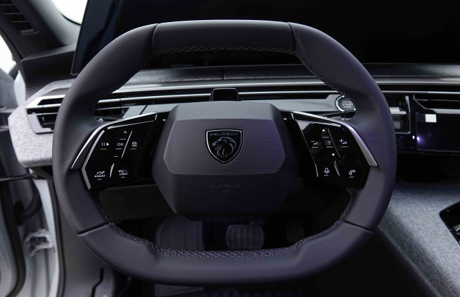 PEUGEOT_PEUGEOT_3008_2655570_8.jpg PEUGEOT_PEUGEOT_3008_2655570_8.jpg