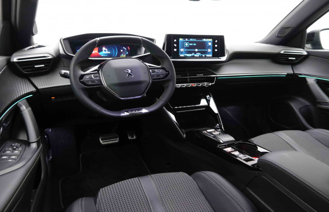PEUGEOT_PEUGEOT_E_2008_2549025_8.jpg