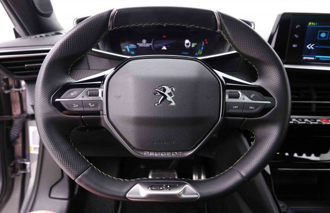 PEUGEOT_PEUGEOT_E_2008_2549029_9.jpg